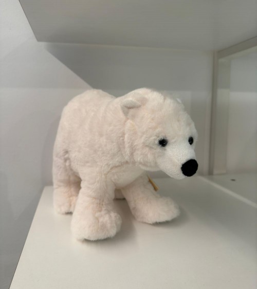 orso polare peluche