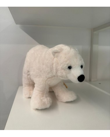 orso polare peluche