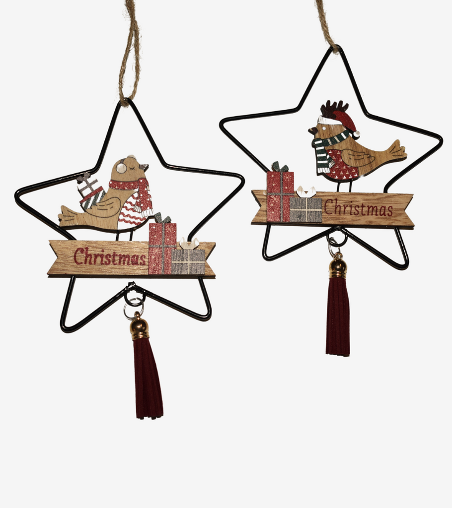 appendini stella natale