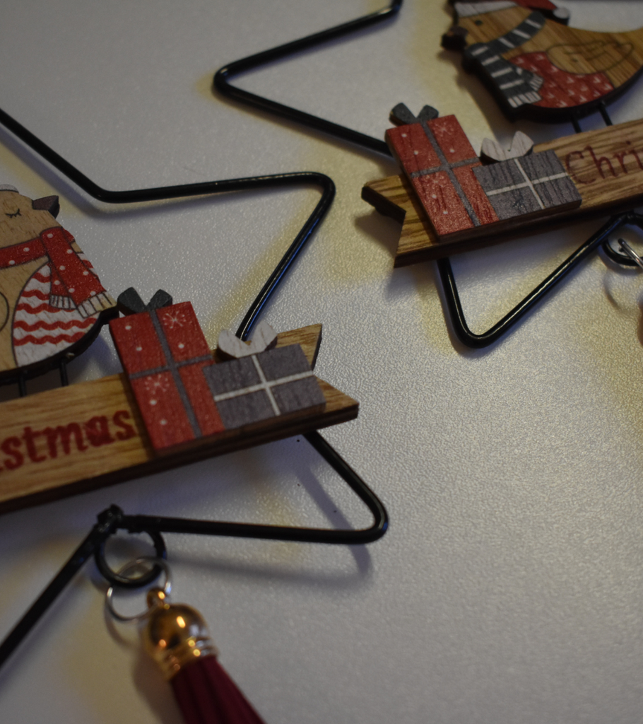 appendini uccelli natale