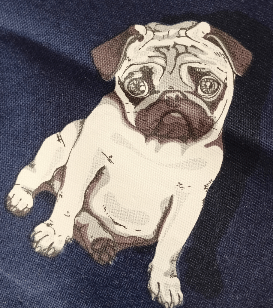 copripiumino bimbo flou blu carletto