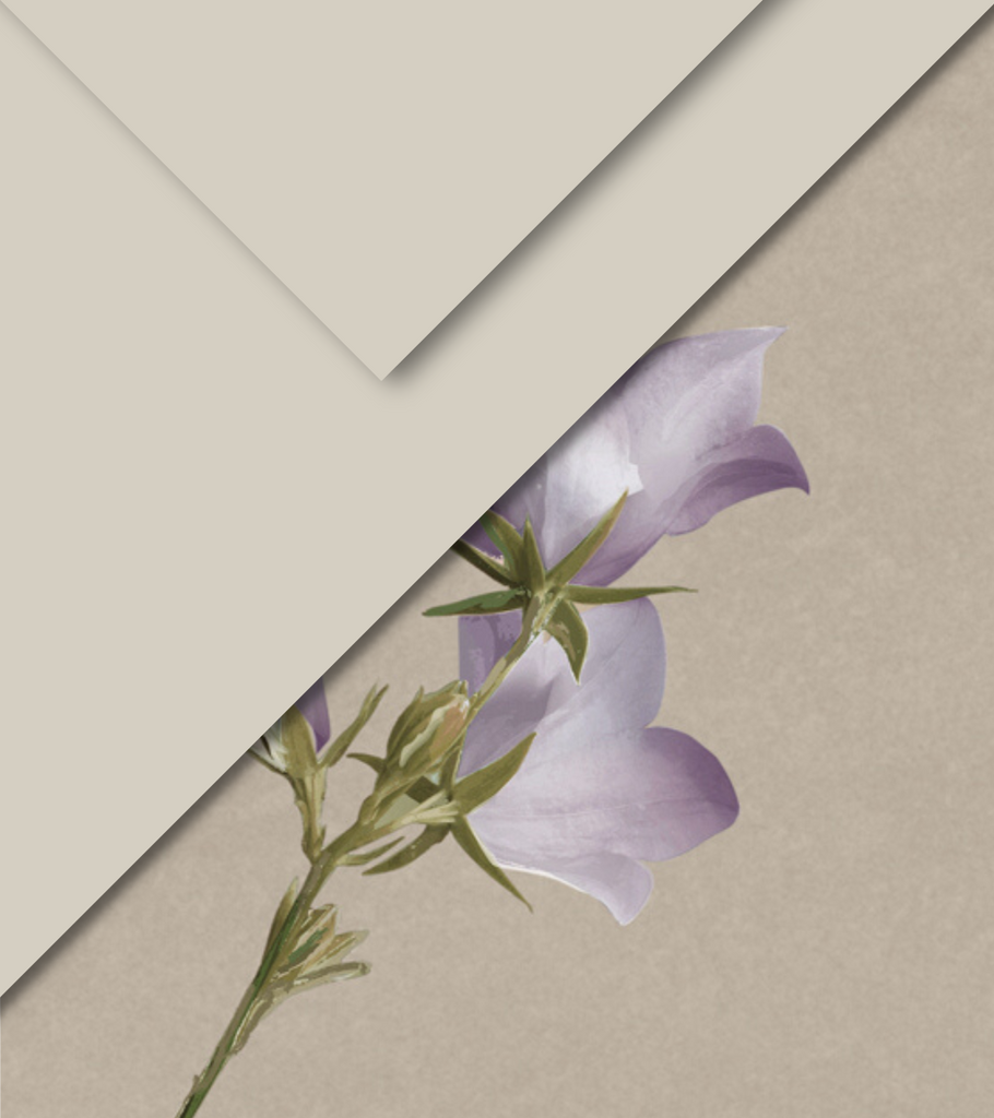 copripiumino flou viola romanza