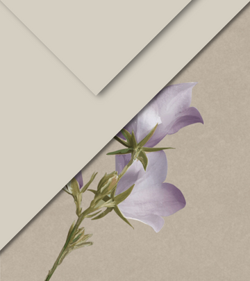 copripiumino flou viola romanza