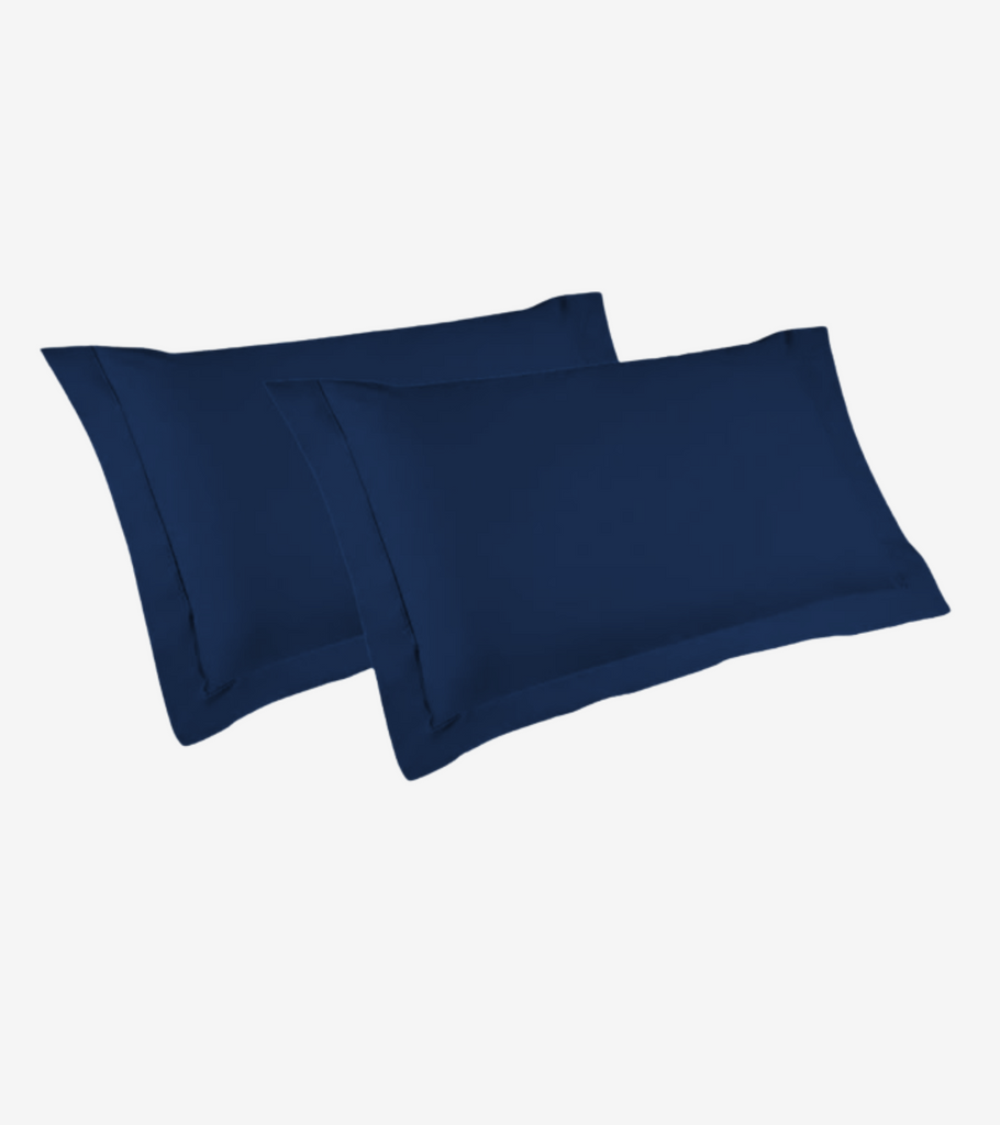 federe blu bossi