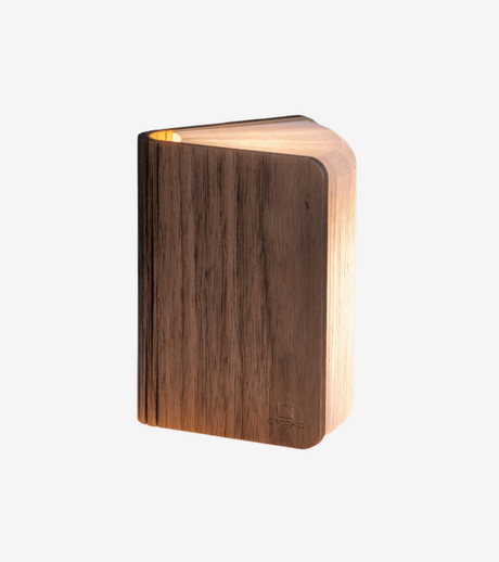 lampada libro legno piccola