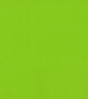 lycra verde campeggi