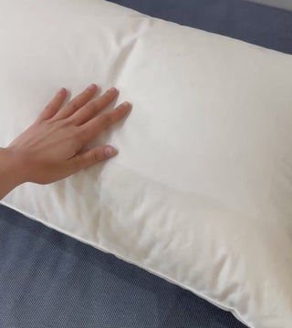 Guanciale piumino d'oca Flou