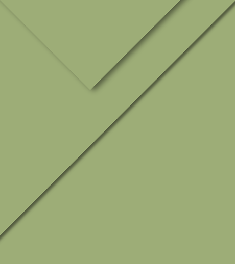 raso tinta unita 9716 verde