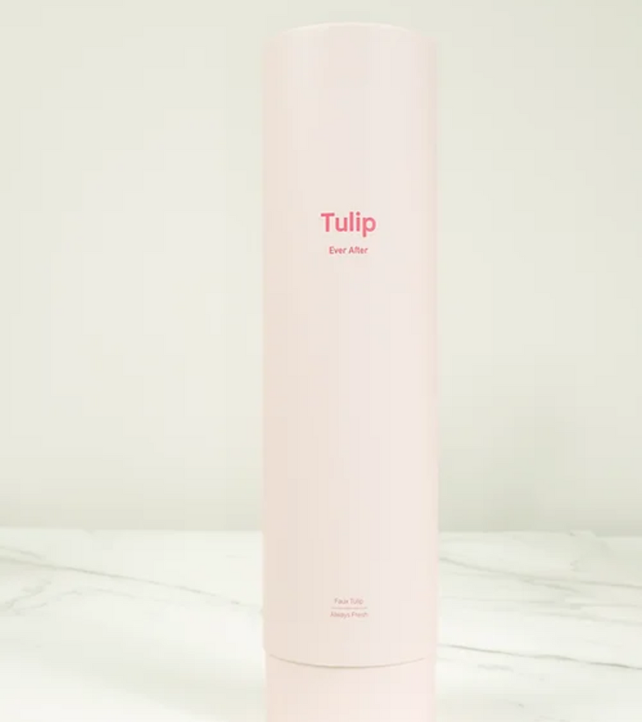 regalo tulipano
