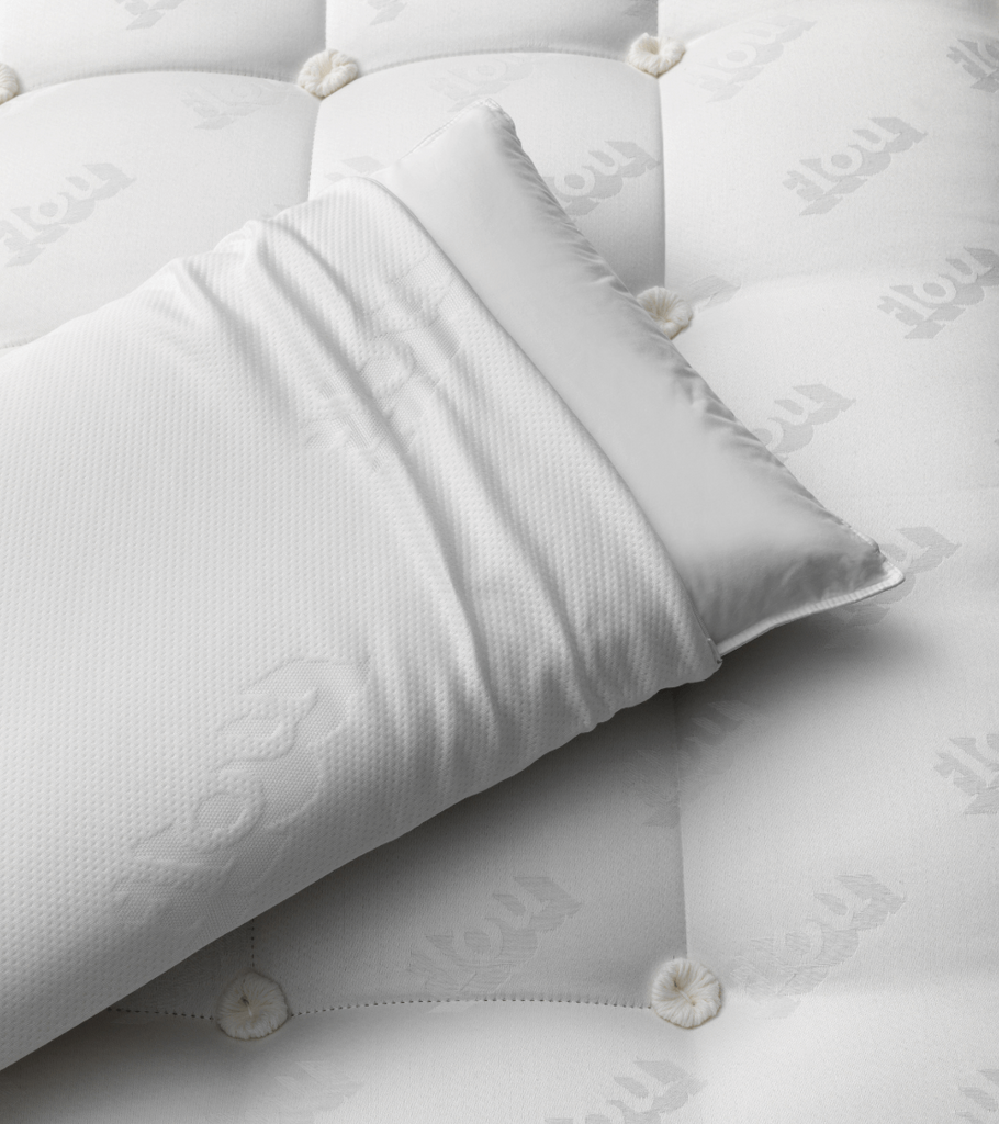 salva guanciale bayscent flou