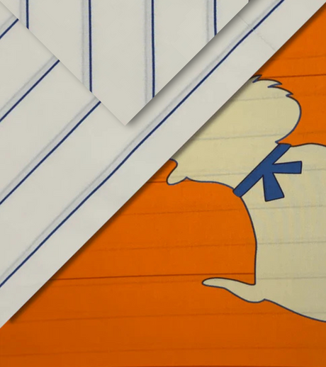 set doggy arancio flou