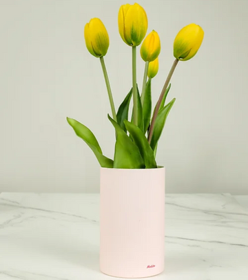 tulipani profumati gialli