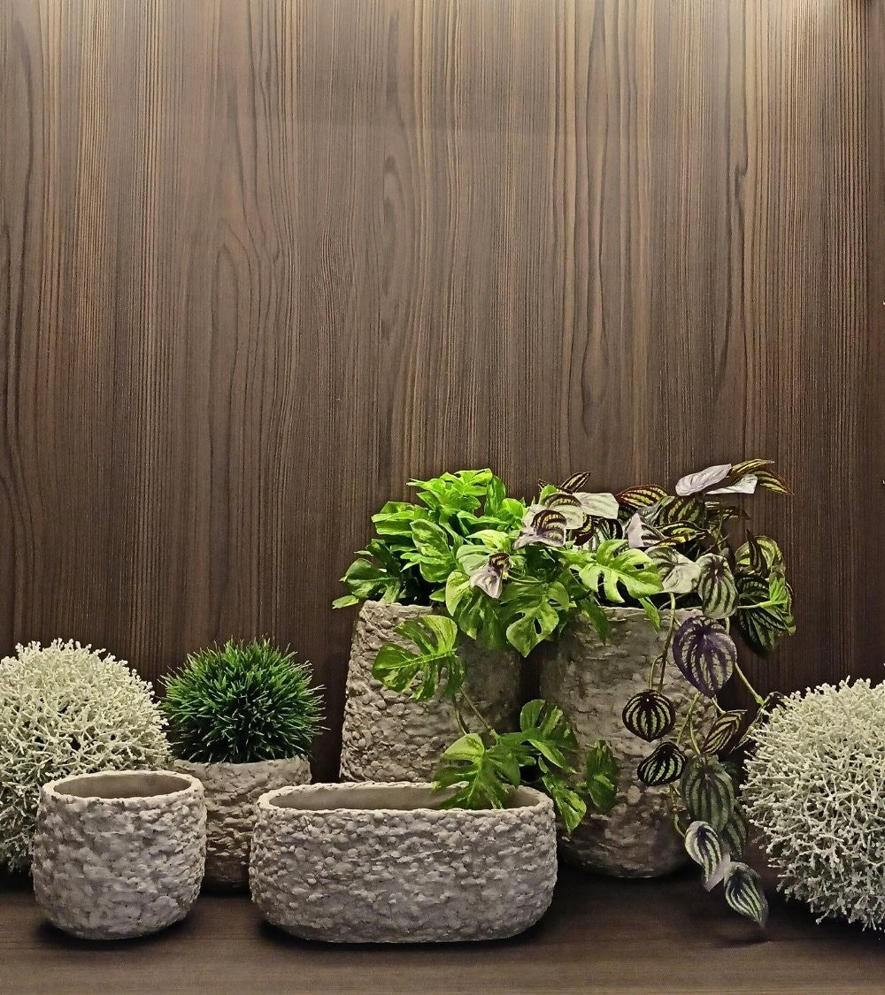 Vasi per fiori, adatti anche ai più inesperti Vasi per fiori, adatti anche ai più inesperti