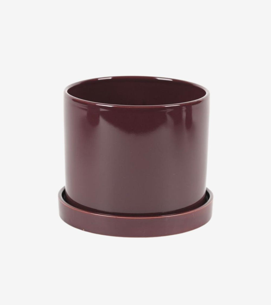 vaso piattino prugna grande