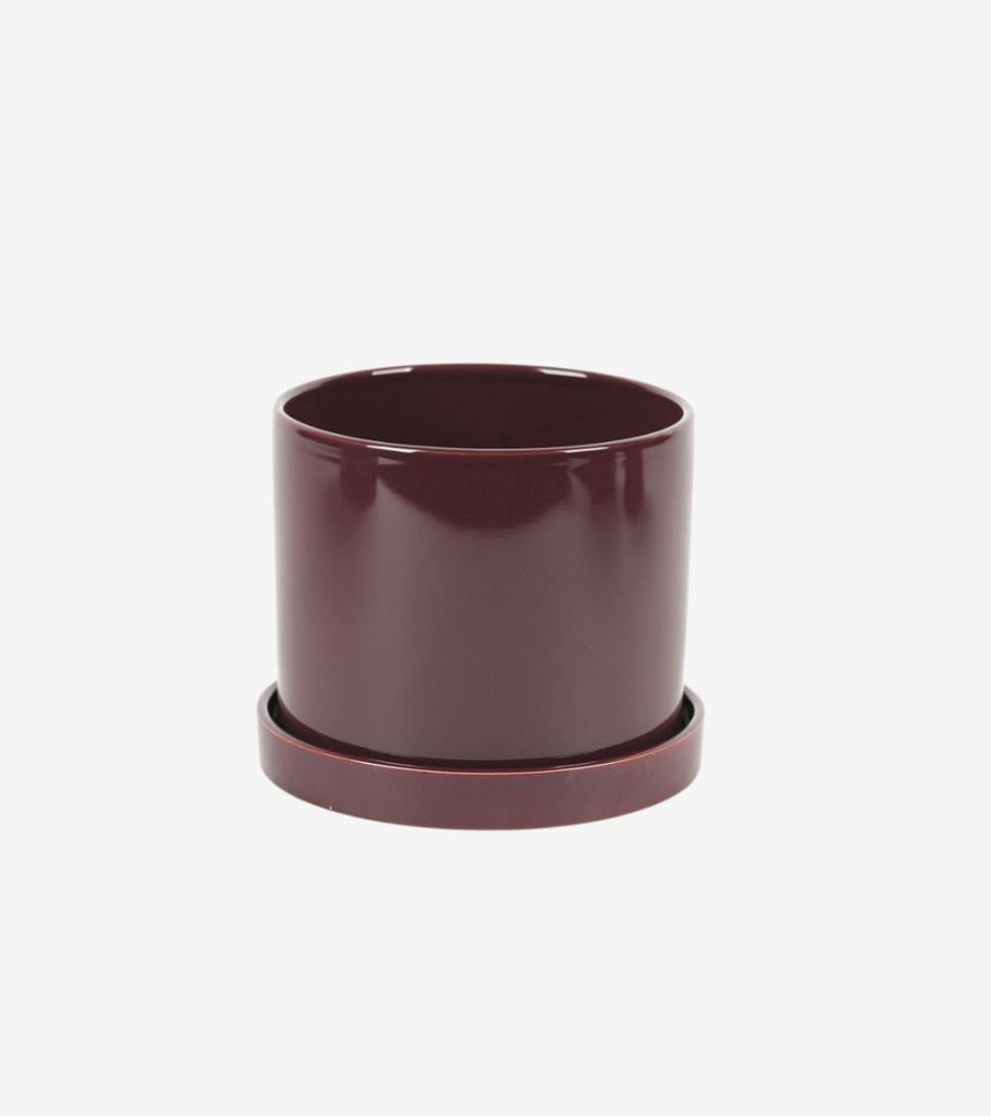 vaso piattino prugna medio