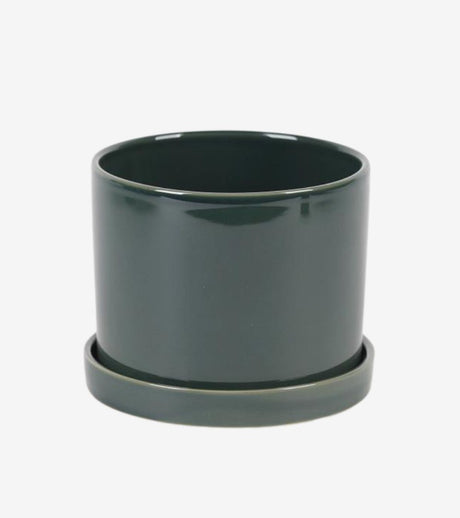 vaso piattino verde grande