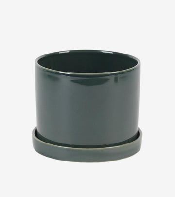vaso piattino verde grande