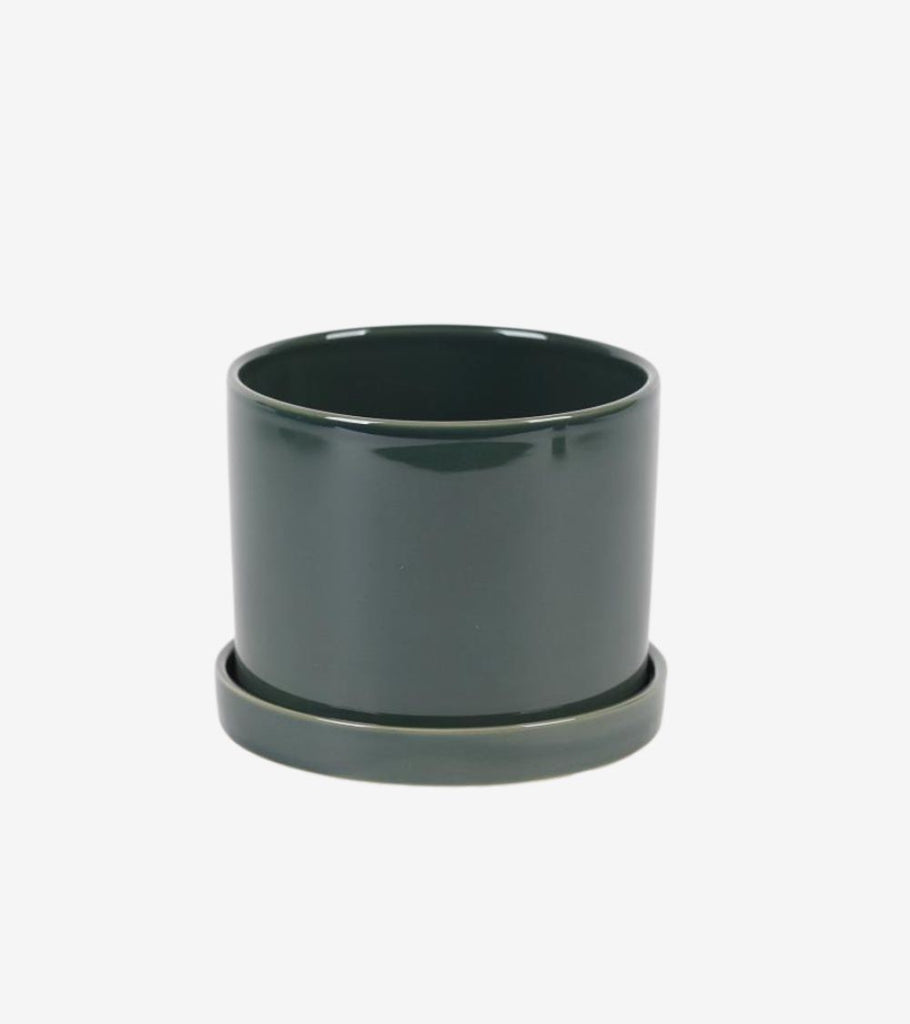 vaso piattino verde medio