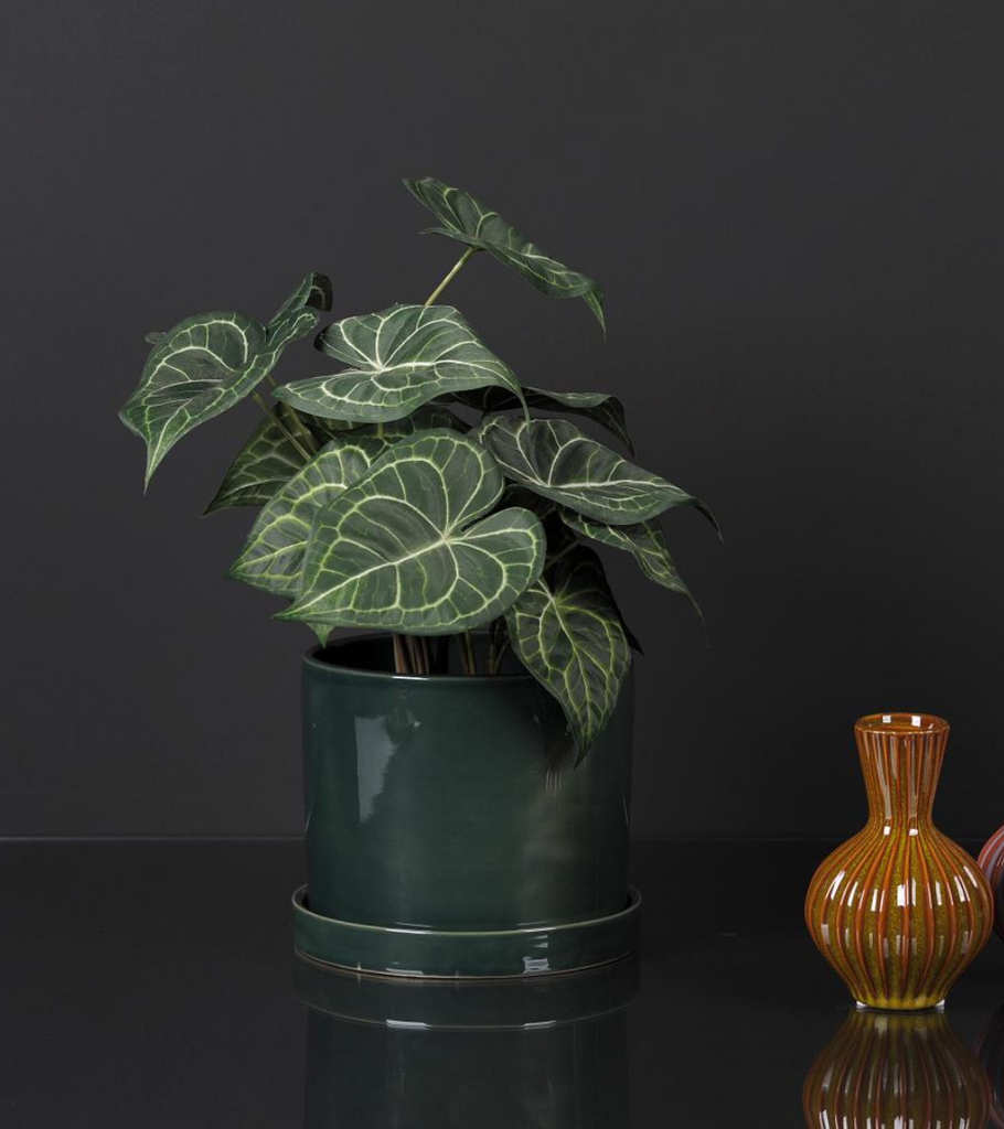vaso piattino verde