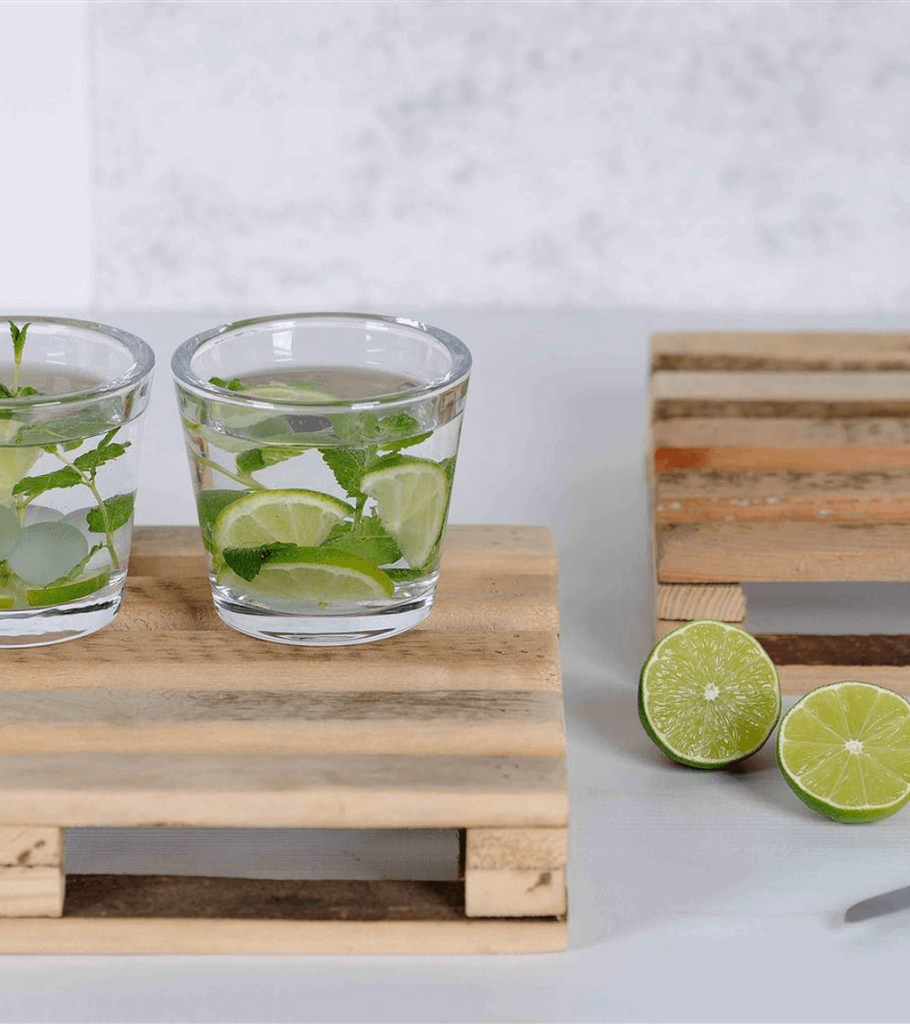 vassoio aperitivo pallet